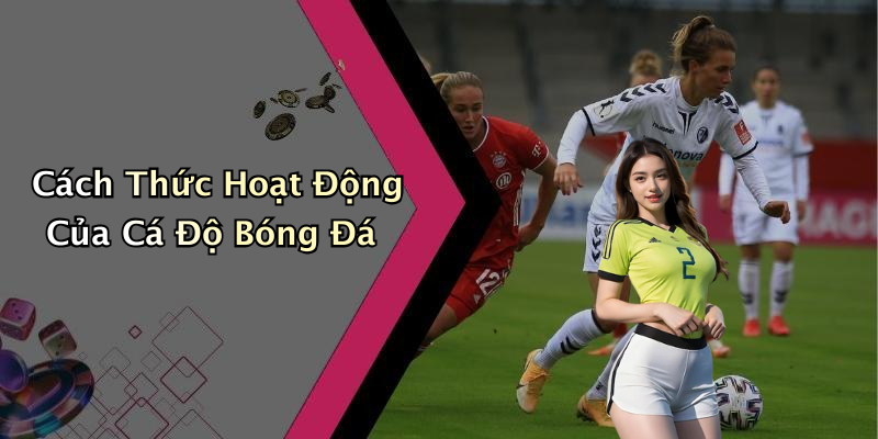 Cách Thức Hoạt Động Của Cá Độ Bóng Đá
