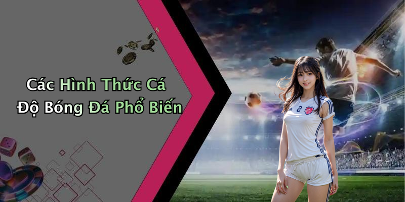 Các Hình Thức Cá Độ Bóng Đá Phổ Biến