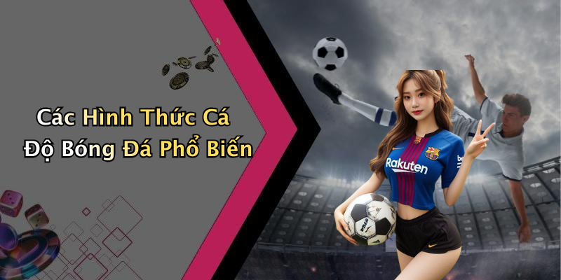 Các Hình Thức Cá Độ Bóng Đá Phổ Biến