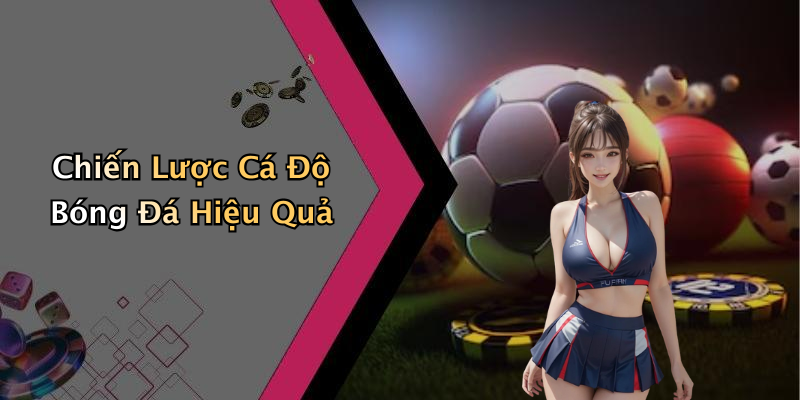 Chiến Lược Cá Độ Bóng Đá Hiệu Quả