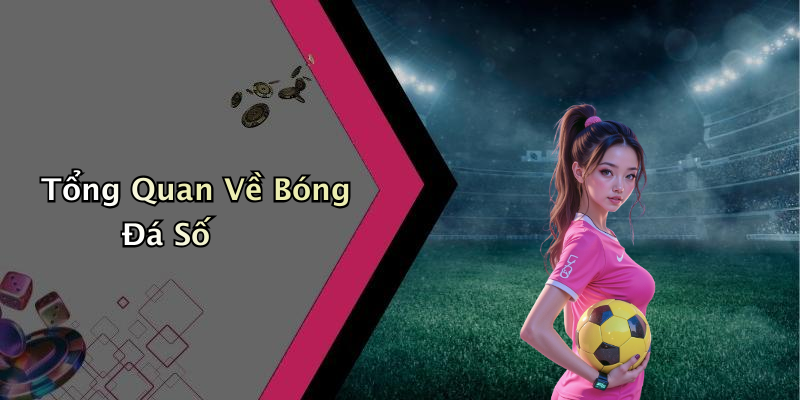 Tổng Quan Về Bóng Đá Số