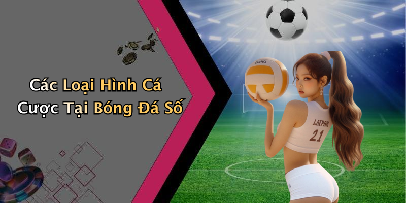 Các Loại Hình Cá Cược Tại Bóng Đá Số