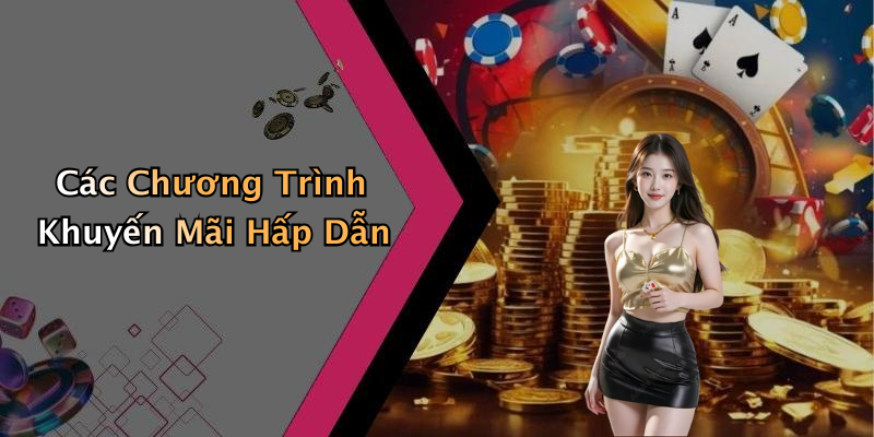 Các Chương Trình Khuyến Mãi Hấp Dẫn