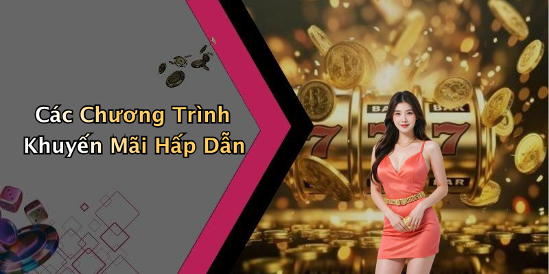 Các Chương Trình Khuyến Mãi Hấp Dẫn