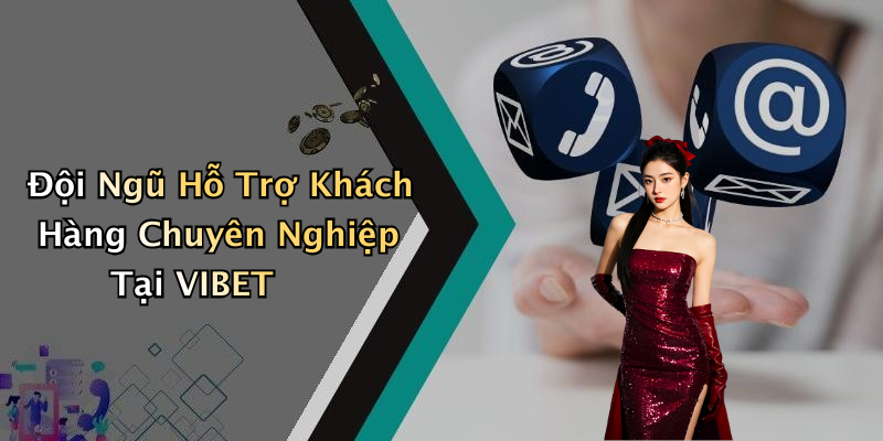 Đội Ngũ Hỗ Trợ Khách Hàng Chuyên Nghiệp Tại VIBET