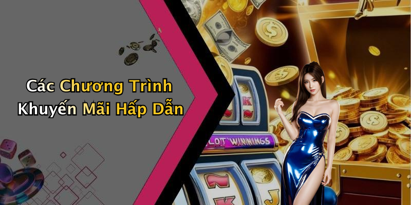 Các Chương Trình Khuyến Mãi Hấp Dẫn