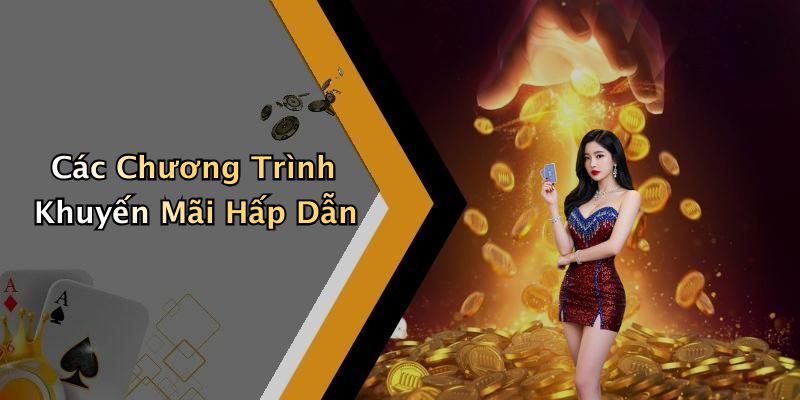 Các Chương Trình Khuyến Mãi Hấp Dẫn