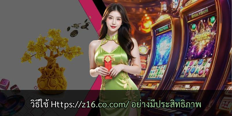 วิธีใช้ Https://z16.co.com/ อย่างมีประสิทธิภาพ