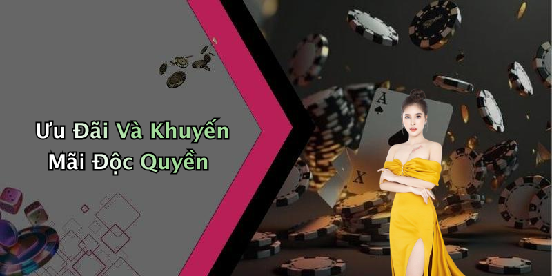 Ưu Đãi Và Khuyến Mãi Độc Quyền
