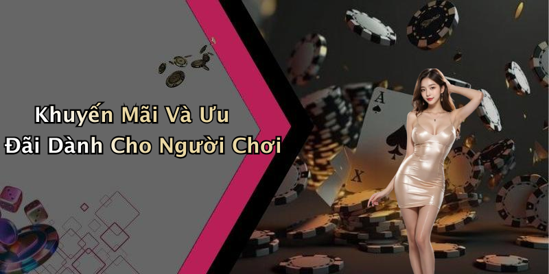 Khuyến Mãi Và Ưu Đãi Dành Cho Người Chơi