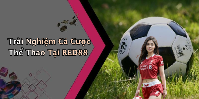 Trải Nghiệm Cá Cược Thể Thao Tại RED88
