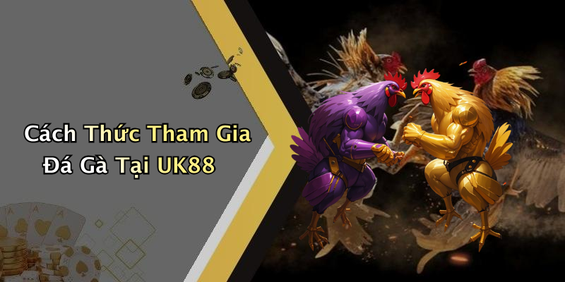 Cách Thức Tham Gia Đá Gà Tại UK88