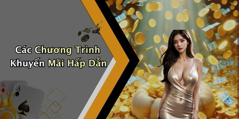 Các Chương Trình Khuyến Mãi Hấp Dẫn