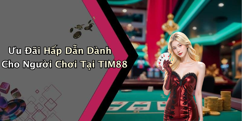 Ưu Đãi Hấp Dẫn Dành Cho Người Chơi Tại TIM88