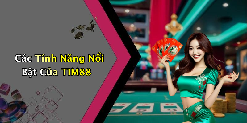 Các Tính Năng Nổi Bật Của TIM88