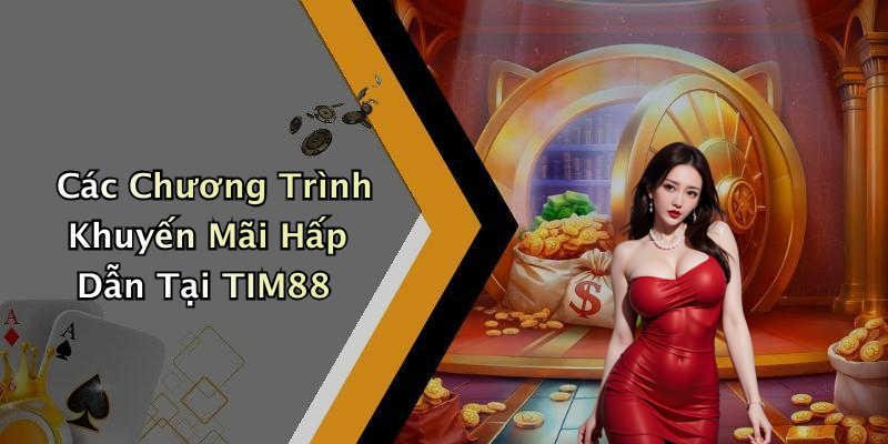 Các Chương Trình Khuyến Mãi Hấp Dẫn Tại TIM88