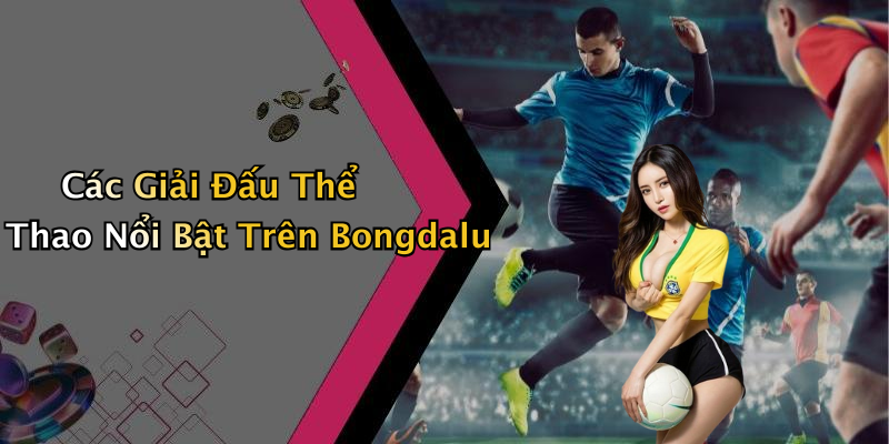 Các Giải Đấu Thể Thao Nổi Bật Trên Bongdalu