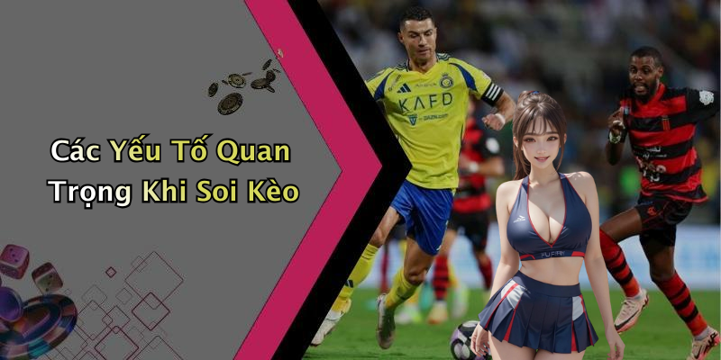 Các Yếu Tố Quan Trọng Khi Soi Kèo