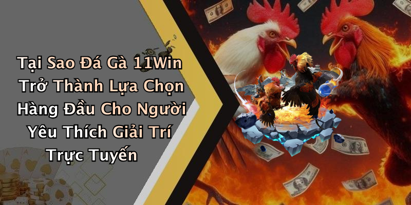 Tại Sao Đá Gà 11Win Trở Thành Lựa Chọn Hàng Đầu Cho Người Yêu Thích Giải Trí Trực Tuyến
