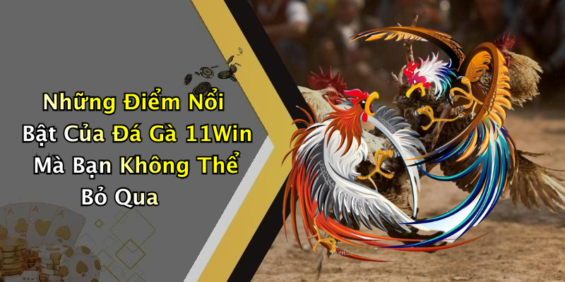 Những Điểm Nổi Bật Của Đá Gà 11Win Mà Bạn Không Thể Bỏ Qua