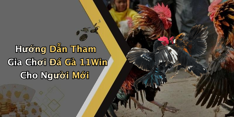 Hướng Dẫn Tham Gia Chơi Đá Gà 11Win Cho Người Mới