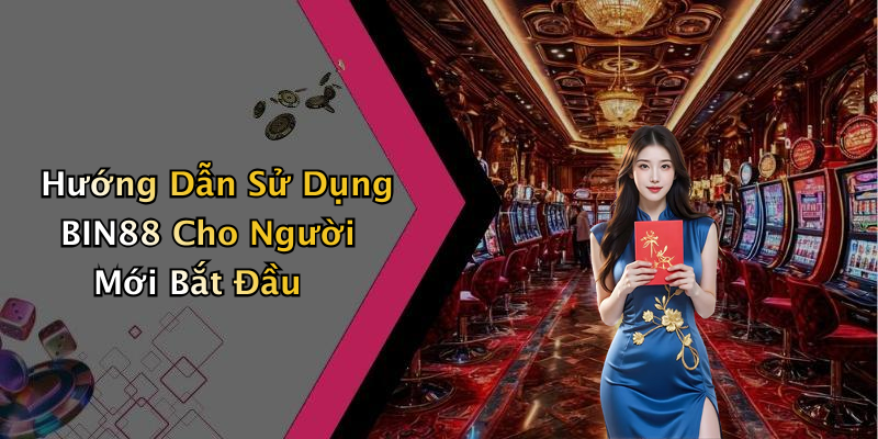 Hướng Dẫn Sử Dụng BIN88 Cho Người Mới Bắt Đầu