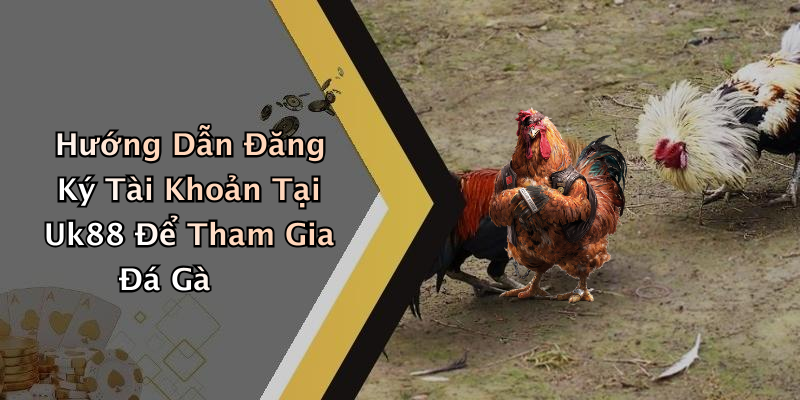 Hướng Dẫn Đăng Ký Tài Khoản Tại Uk88 Để Tham Gia Đá Gà