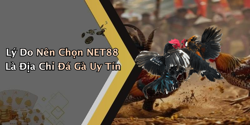 Lý Do Nên Chọn NET88 Là Địa Chỉ Đá Gà Uy Tín