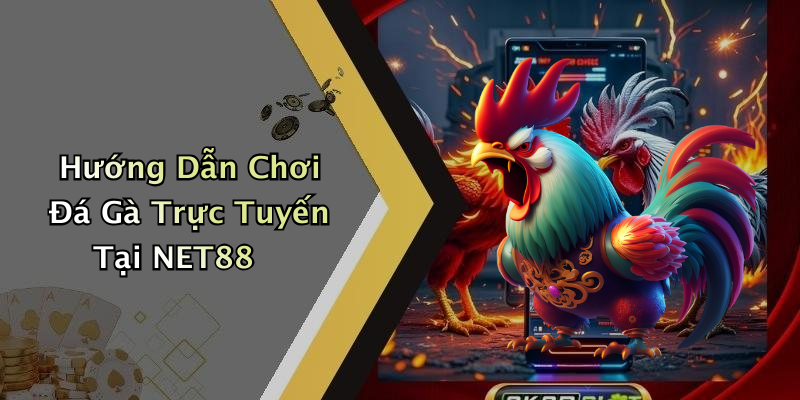 Hướng Dẫn Chơi Đá Gà Trực Tuyến Tại NET88