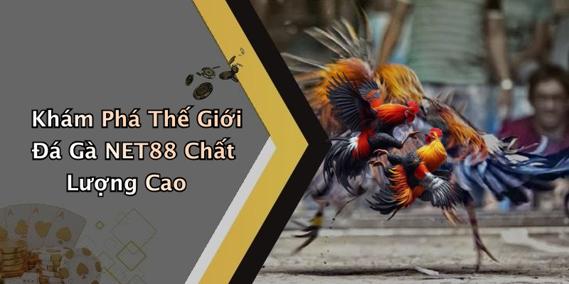 Khám Phá Thế Giới Đá Gà NET88 Chất Lượng Cao