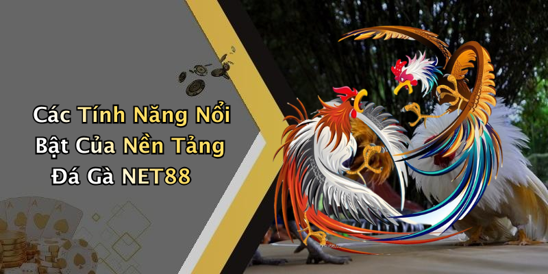 Các Tính Năng Nổi Bật Của Nền Tảng Đá Gà NET88