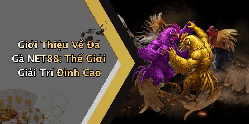 Giới Thiệu Về Đá Gà NET88: Thế Giới Giải Trí Đỉnh Cao