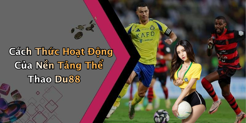 Cách Thức Hoạt Động Của Nền Tảng Thể Thao Du88