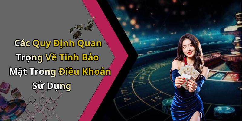 Các Quy Định Quan Trọng Về Tính Bảo Mật Trong Điều Khoản Sử Dụng