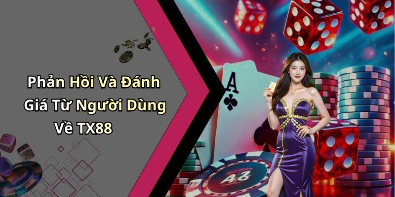 Phản Hồi Và Đánh Giá Từ Người Dùng Về TX88