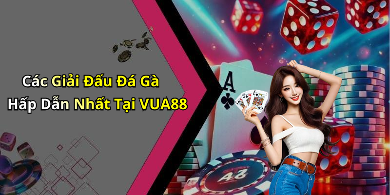 Các Giải Đấu Đá Gà Hấp Dẫn Nhất Tại VUA88