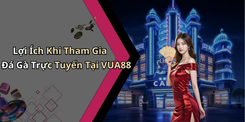 Lợi Ích Khi Tham Gia Đá Gà Trực Tuyến Tại VUA88