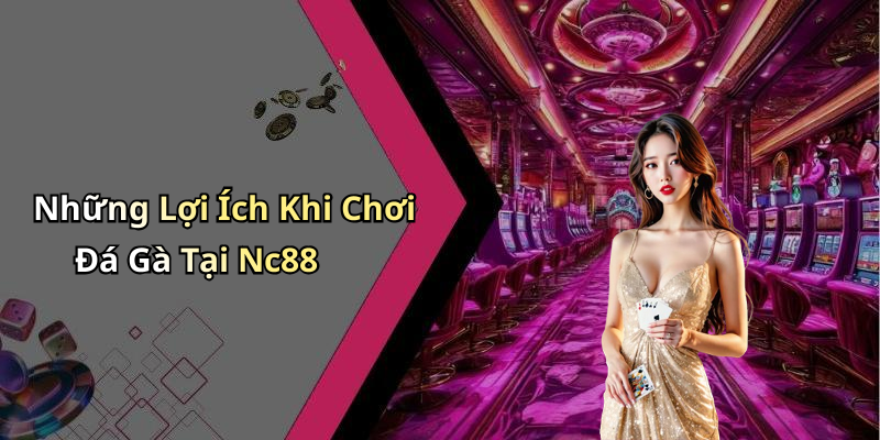 Những Lợi Ích Khi Chơi Đá Gà Tại Nc88