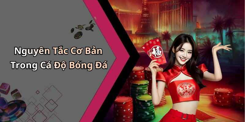Nguyên Tắc Cơ Bản Trong Cá Độ Bóng Đá
