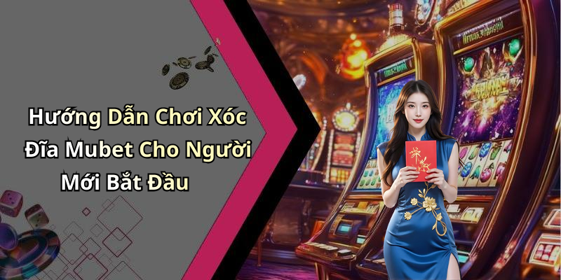 Hướng Dẫn Chơi Xóc Đĩa Mubet Cho Người Mới Bắt Đầu