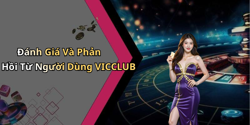 Đánh Giá Và Phản Hồi Từ Người Dùng VICCLUB