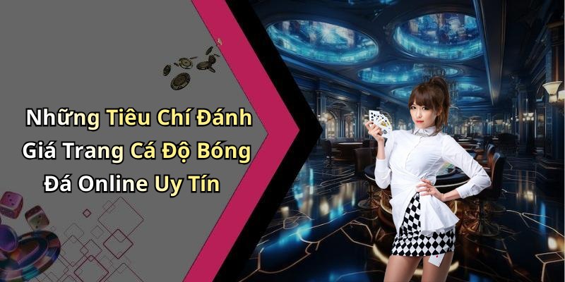 Những Tiêu Chí Đánh Giá Trang Cá Độ Bóng Đá Online Uy Tín
