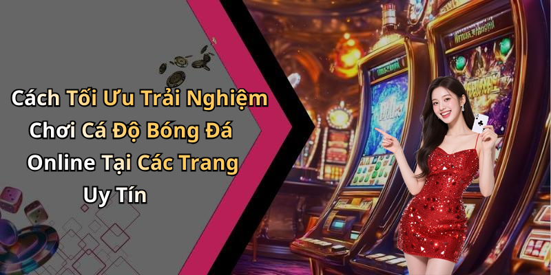 Cách Tối Ưu Trải Nghiệm Chơi Cá Độ Bóng Đá Online Tại Các Trang Uy Tín