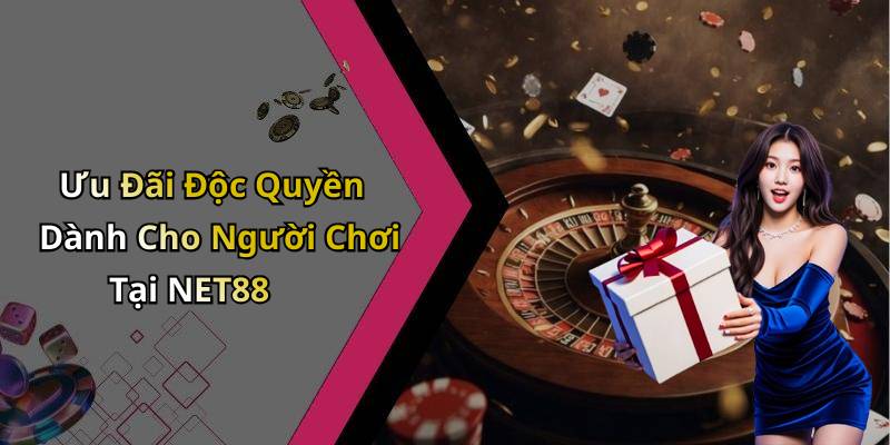 Ưu Đãi Độc Quyền Dành Cho Người Chơi Tại NET88