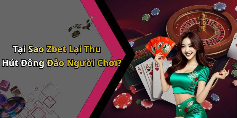 Tại Sao Zbet Lại Thu Hút Đông Đảo Người Chơi?