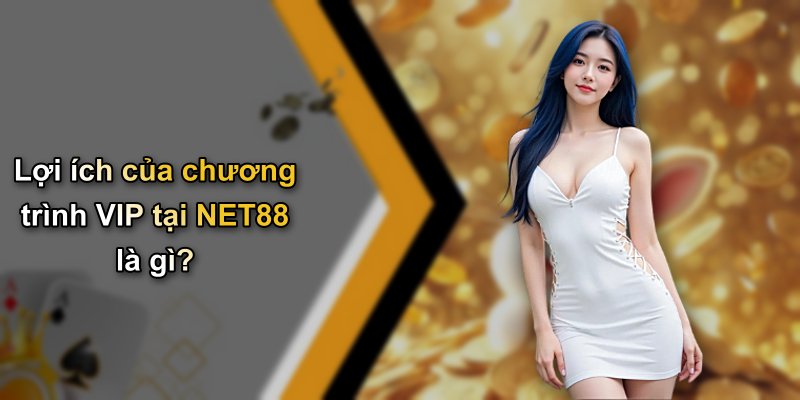 Lợi ích của chương trình VIP tại NET88 là gì?