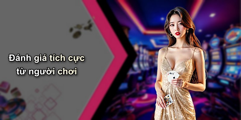 Đánh giá tích cực từ người chơi