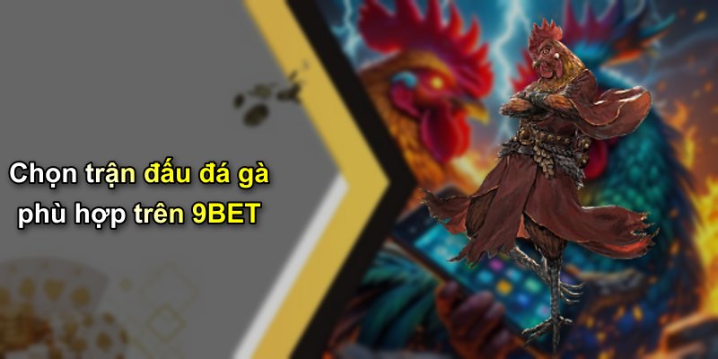 Chọn trận đấu đá gà phù hợp trên 9BET