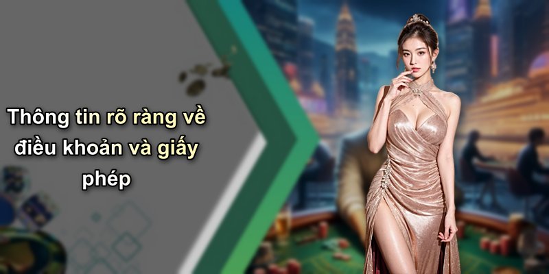 Thông tin rõ ràng về điều khoản và giấy phép