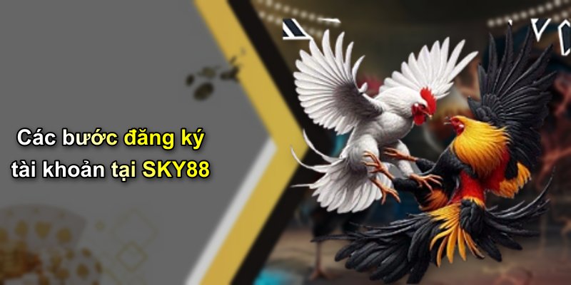 Các bước đăng ký tài khoản tại SKY88